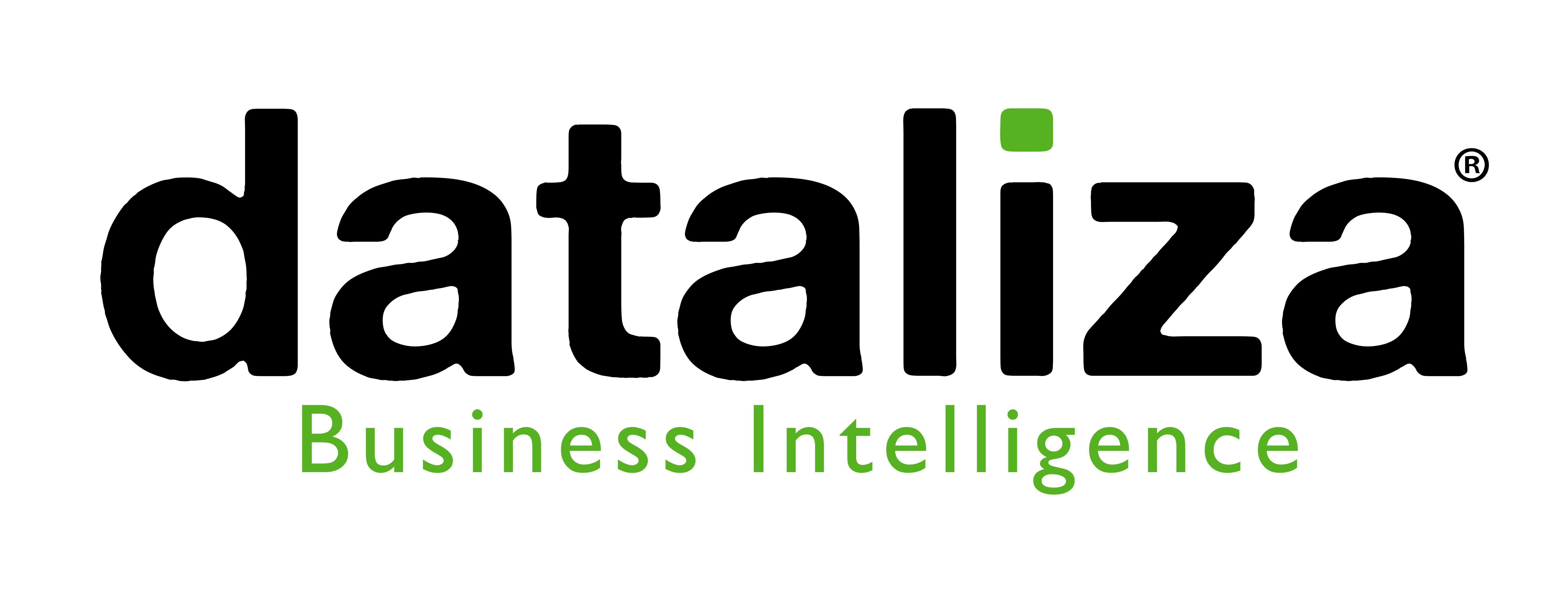 Dataliza | Business Intelligence