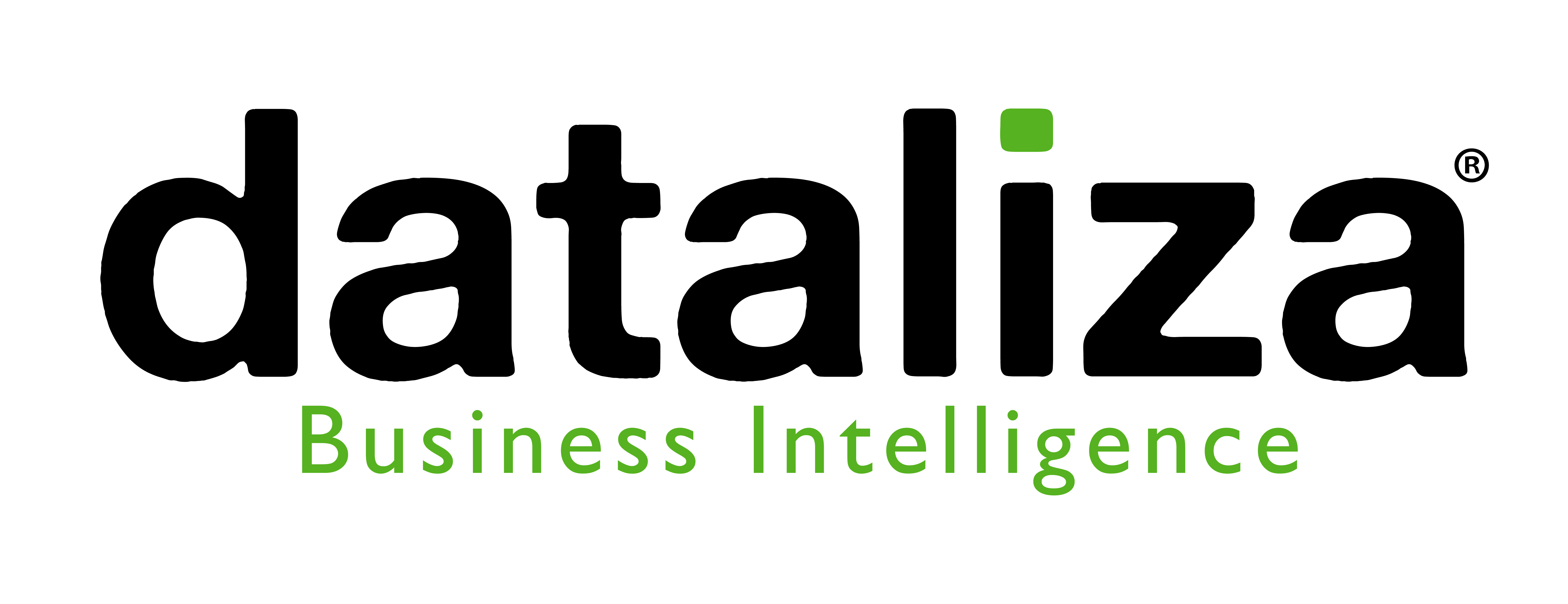 Dataliza | Sistema ERP para Pymes